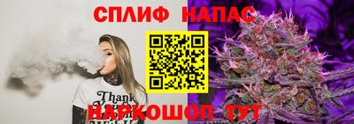 метадон Моздок