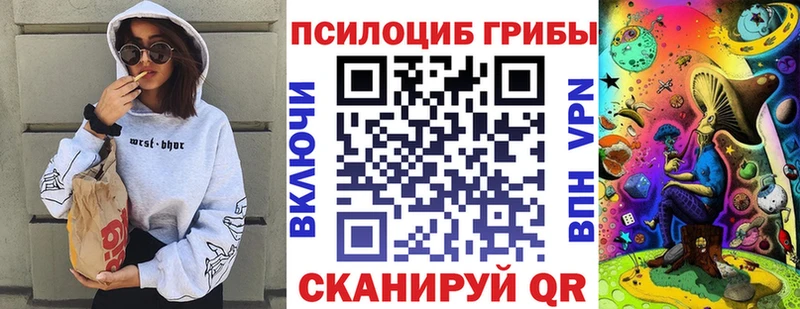 ссылка на мегу сайт  Стерлитамак  Галлюциногенные грибы мухоморы 
