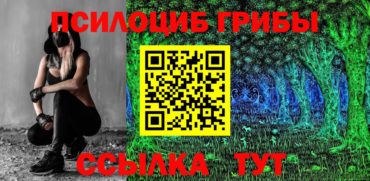 купить  сайты  Псилоцибиновые грибы GOLDEN TEACHER  Стерлитамак  Вход с VPN  Галлюциногенные грибы Magic Shrooms 