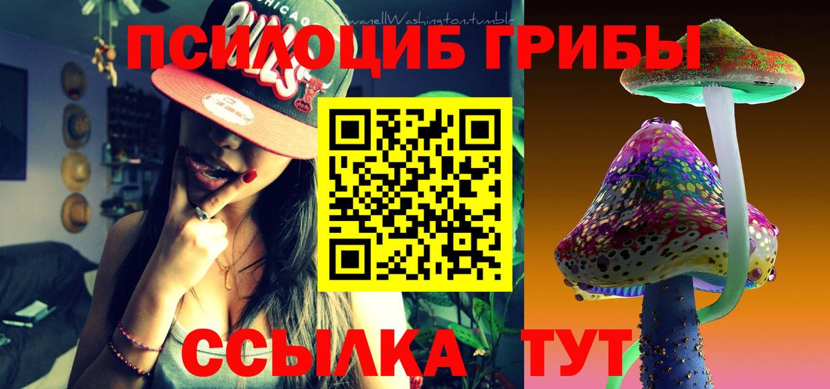Псилоцибиновые грибы мухоморы Стерлитамак